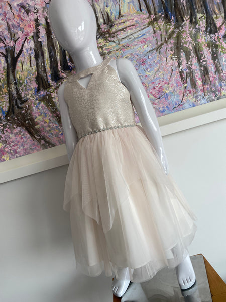 Alice pale pink sleeveless Swarovski waist party tulle dress
