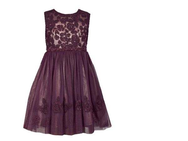 Beth merlot embroidered tulle dress with petticoat