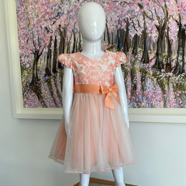 Sophia peach coral tulle petticoat dress