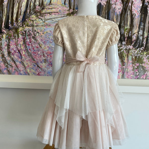 Maggie Pearl pale pink blush party Flowergirl  dress with a pearl embellished waist