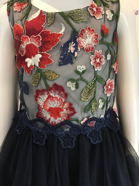 Jenny navy handkerchief tulle dress